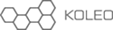 koleo.com.ua logo