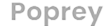 poprey.com logo