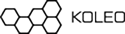 koleo.com.ua logo