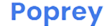 poprey.com logo